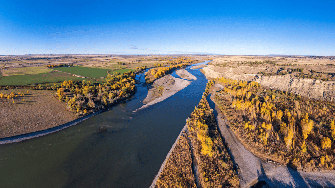 Support the Wildcat Wildlife Management Area