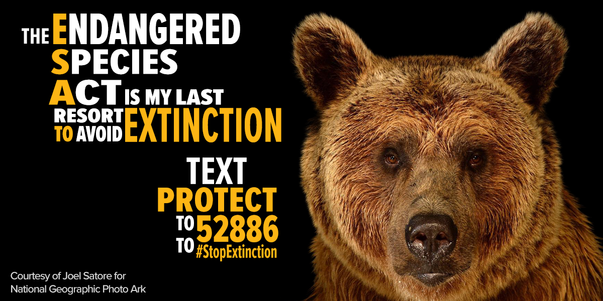 Protect the Endangered Species Act