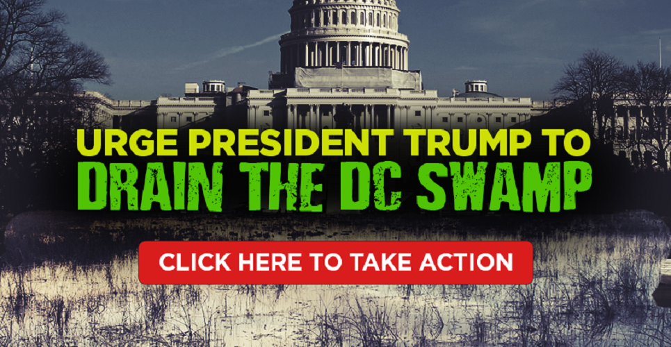 Take Action to Drain the Swamp!