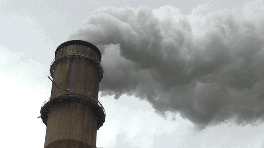 Our health depends on it Ban incineration of PFAS foam