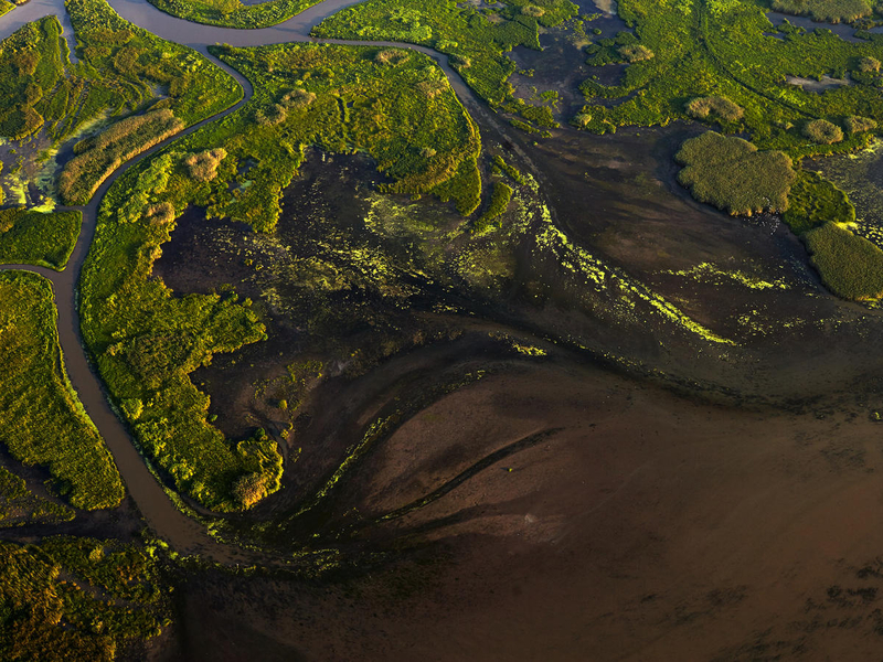 Your voice needed: Support the largest eco-restoration project in U.S. history